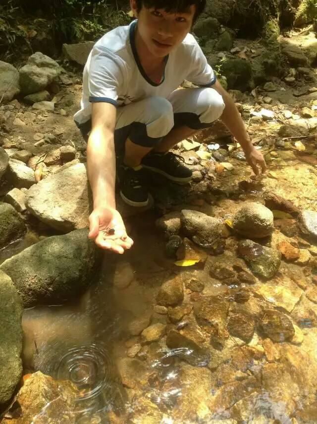 凤凰山抓鱼