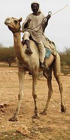  Geneina, Sudan escort